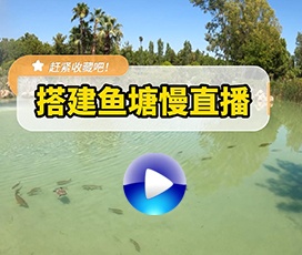 怎么实现鱼塘在短视频平台直播？